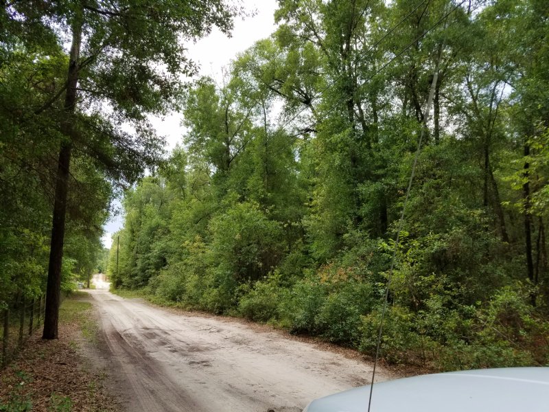 Secluded 5 Acre Lot $47,900 : Brooksville : Hernando County : Florida