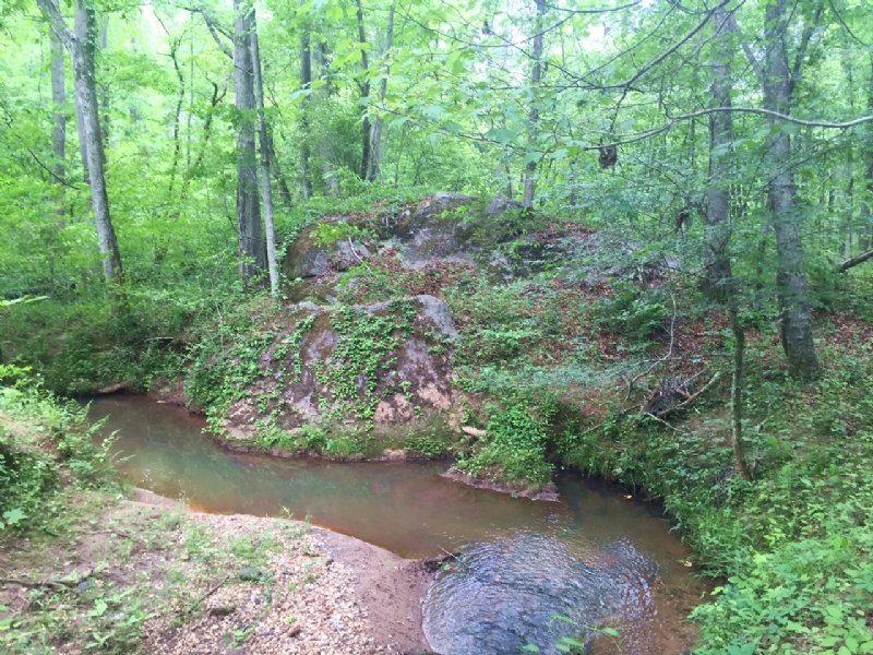 Investment, Recreational, Timber : Forsyth : Monroe County : Georgia