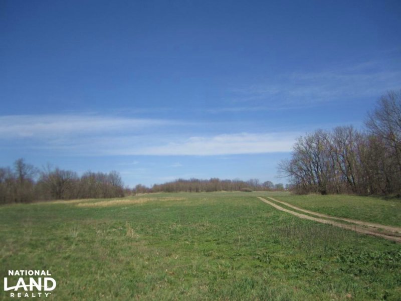 40 Acre Recreational Farm Or Build : Drexel : Bates County : Missouri