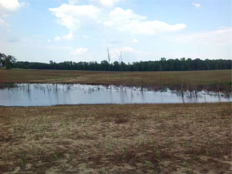 11.66 Acres in Chesterfield, Sc : Chesterfield : Chesterfield County : South Carolina