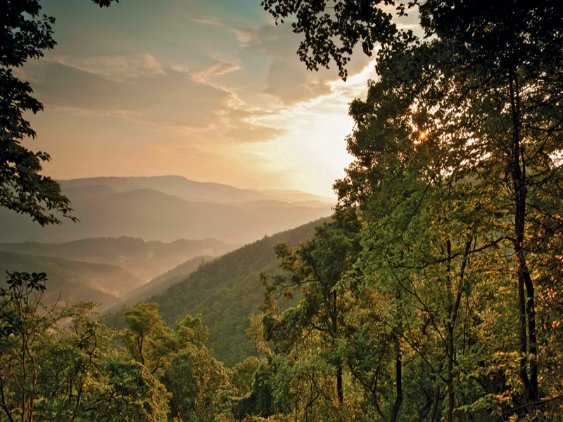 Blowing Rock Mountain Stream : Blowing Rock : Watauga County : North Carolina