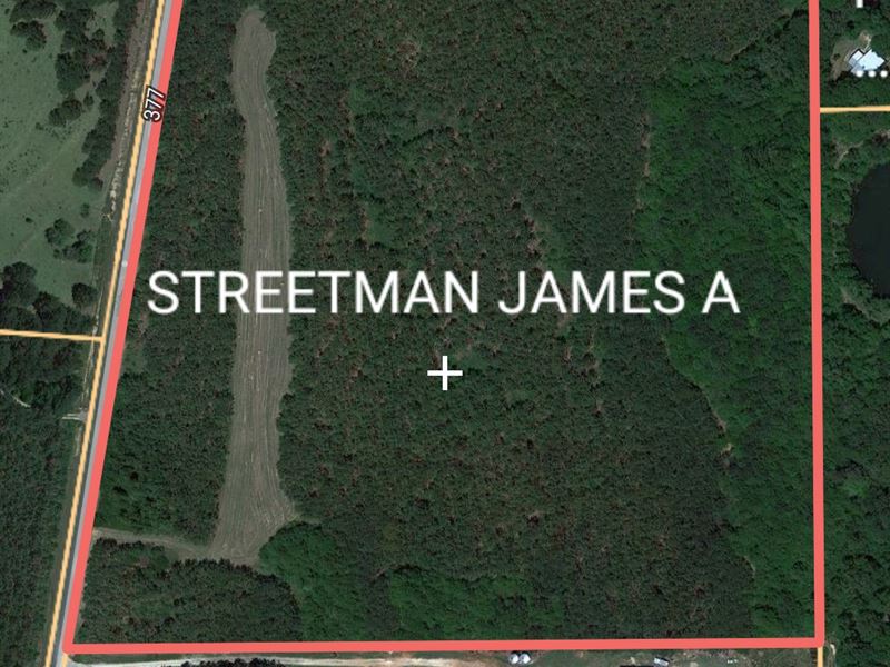 37 Ac of Beautiful Longleaf Pine : Opp : Coffee County : Alabama