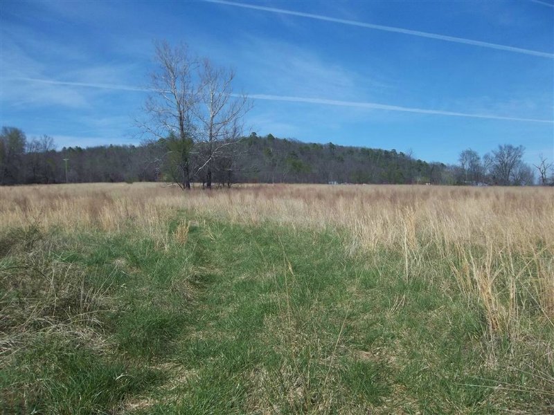 70 M/L Acres On Spring Creek : Peggs : Cherokee County : Oklahoma