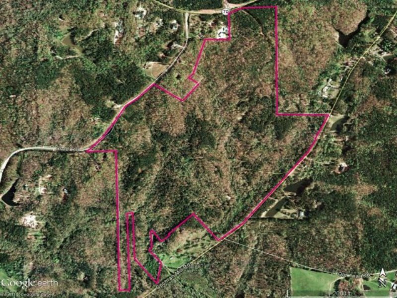 Hunt Deer and Turkey in Atlanta? : Chattahoochee Hills : Fulton County : Georgia