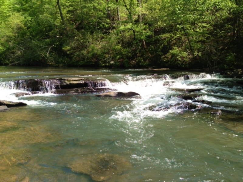 Mini Farms 5 Acres and Up : Trafford : Blount County : Alabama