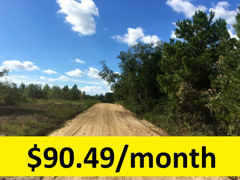$0 Down & Owner Financed : Dublin : Laurens County : Georgia