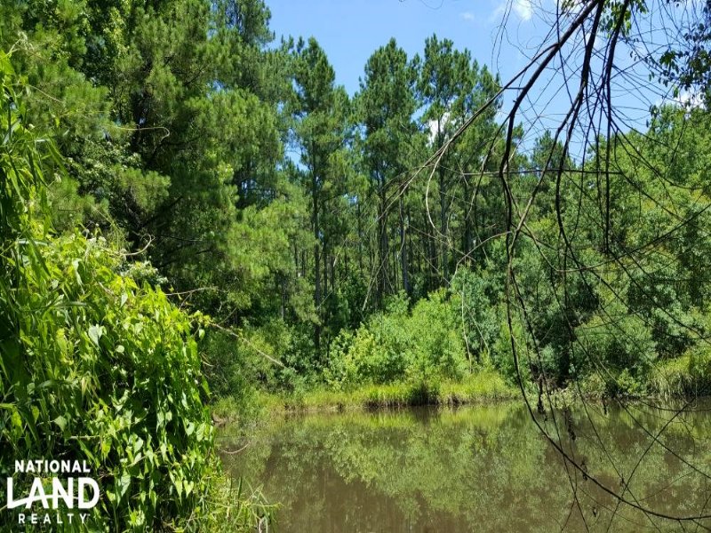 Davy Crockett National Forest Recre : Groveton : Trinity County : Texas