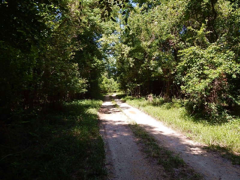 2575 Acres Washington Parish, La : Bogalusa : Washington Parish : Louisiana