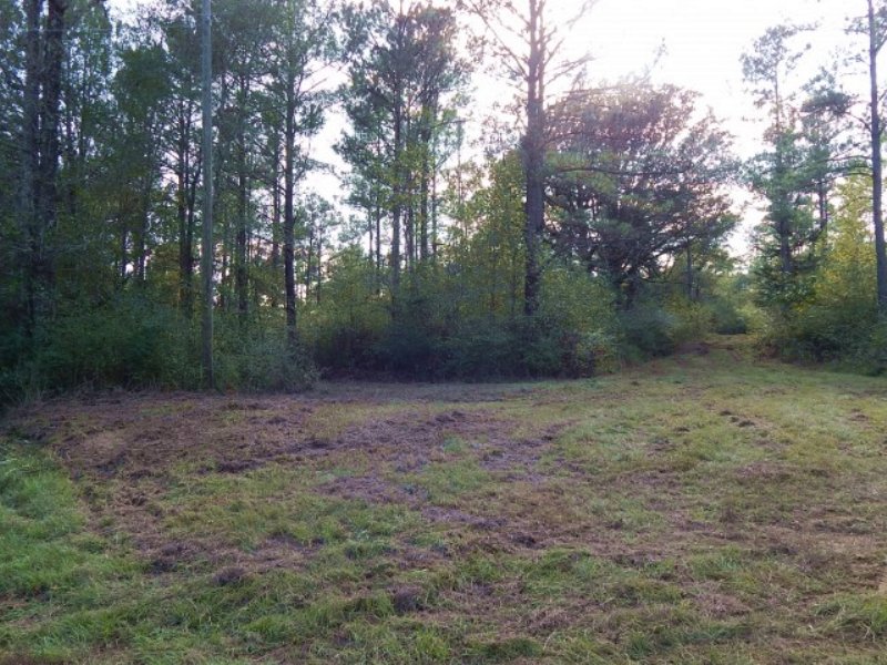 195.00 Acres Hunting Land, Timber : Tylertown : Walthall County : Mississippi