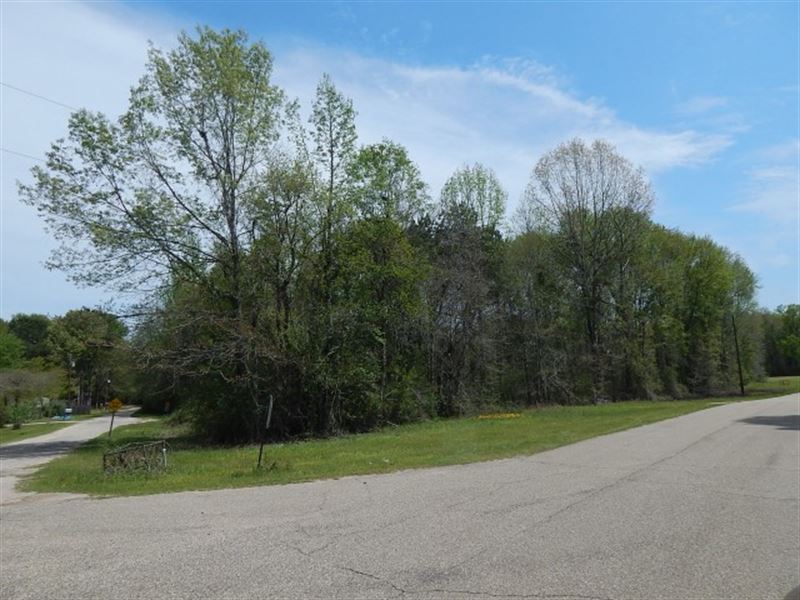 Dean Griner Road - 123651 : Columbia : Marion County : Mississippi