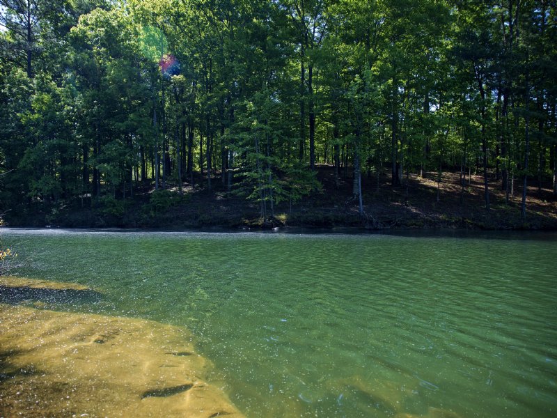 Waterfront Sale Smith Lake : Addison : Winston County : Alabama