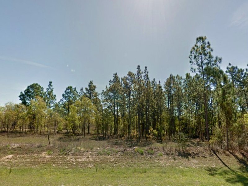.25 Acre in Dunnellon, Fl : Dunnellon : Levy County : Florida