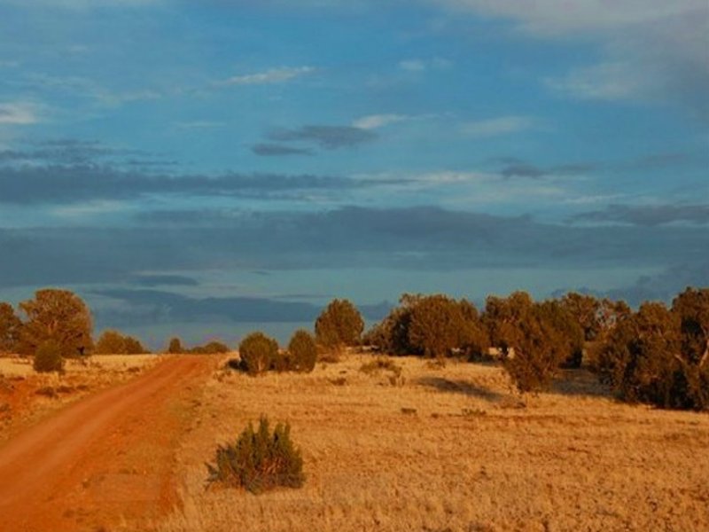 1.06 Acres in Bridge Canyon Country : Seligman : Yavapai County : Arizona