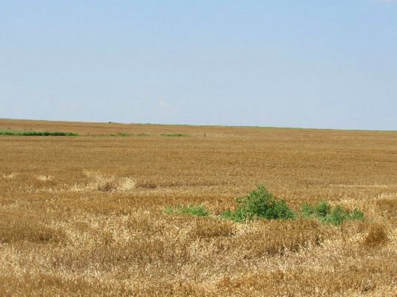 Land For Sale Minneola Kansas at Robert Hartsfield blog