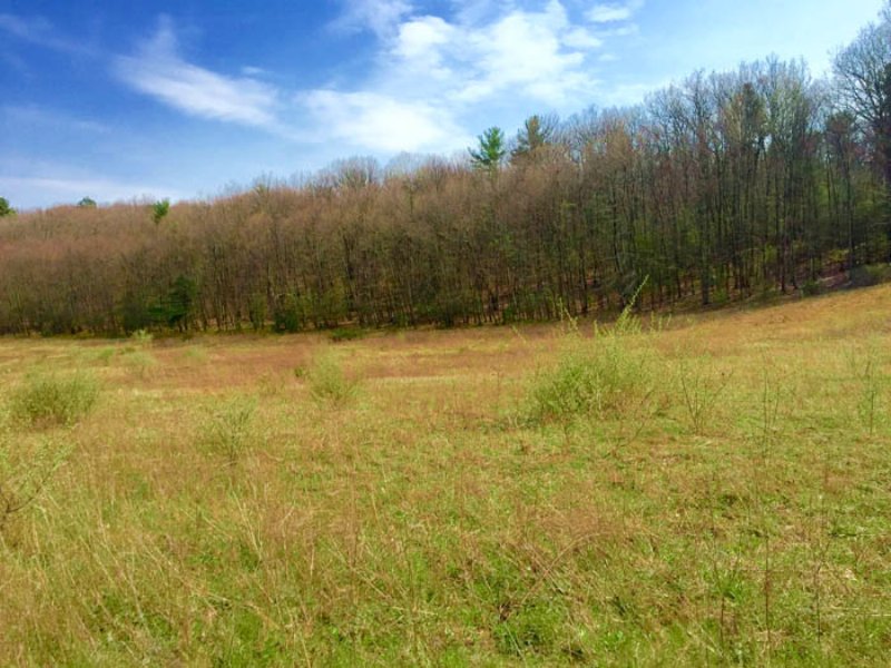 23+/ Acres, Land, Millville Area Land for Sale in Millville