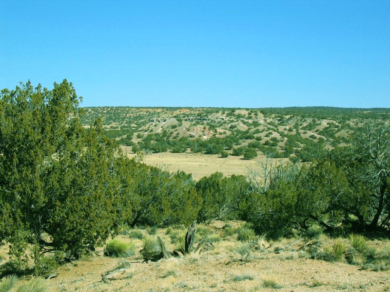 Secluded High Country Ranch : Saint Johns : Apache County : Arizona