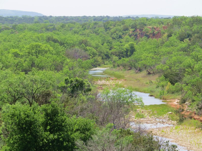 Seasonal Creek, Great Hunting : Robert Lee : Coke County : Texas