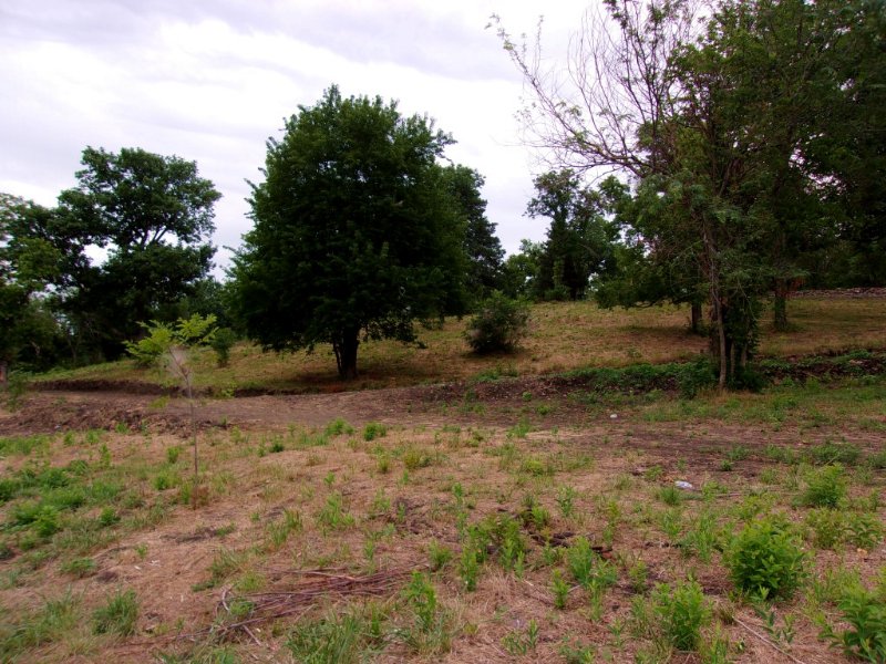 4 M/L Acres Hwy 51 Frontage : Tahlequah : Cherokee County : Oklahoma
