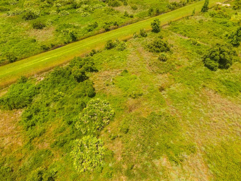 Amazing Viking Estates Property : Okeechobee : Okeechobee County : Florida