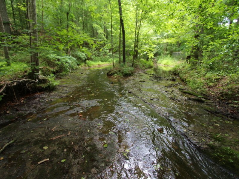 143 Ac with Crystal Clear Creek : Centerville : Hickman County : Tennessee