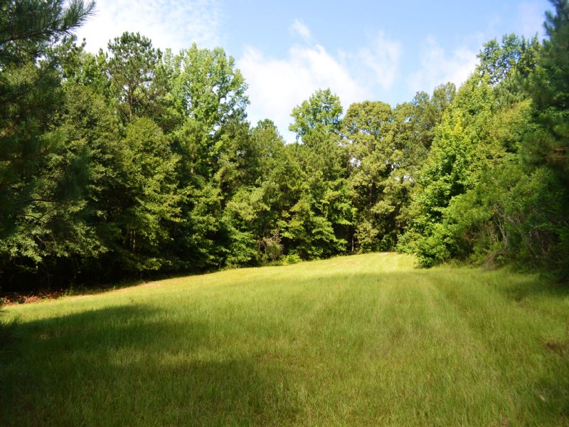 Butler Estates Lots : Tallassee : Elmore County : Alabama