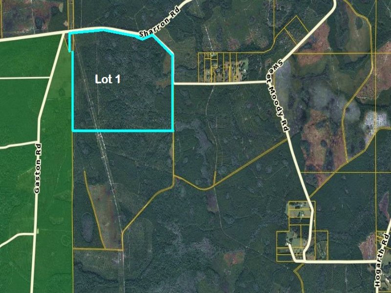 500 Acres, Green Cove 1 : Green Cove Springs : Clay County : Florida