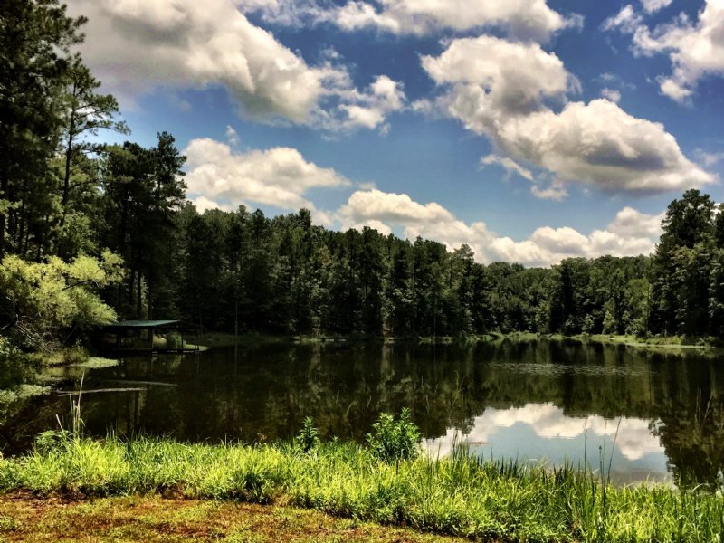 Private Lake Pasture and Woods : Bolingbroke : Monroe County : Georgia