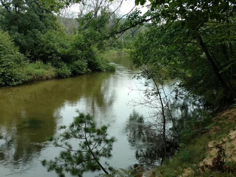 5 Acres On Pere Marquette River : Custer : Mason County : Michigan