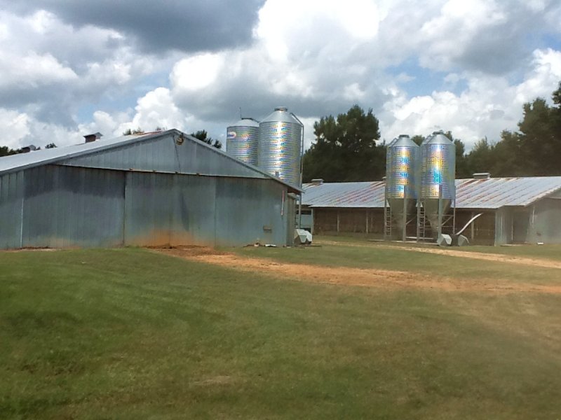 Cobb Ln Chicken Farm W House : Georgiana : Butler County : Alabama