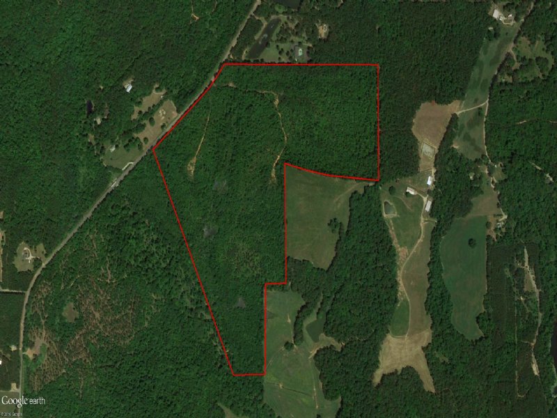 105 Acres - Cochran Mill Road : Fairburn : Fulton County : Georgia