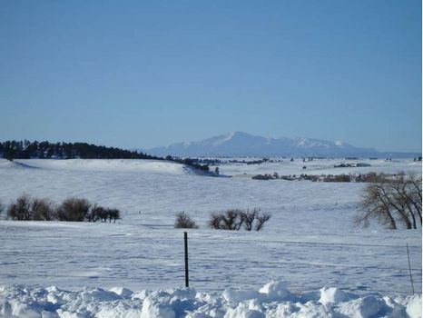 810A-Prime Development Land T1319 : Elizabeth : Elbert County : Colorado