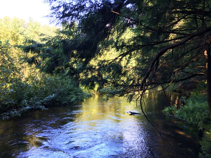 On Fish Creek River : Williamstown : Oswego County : New York