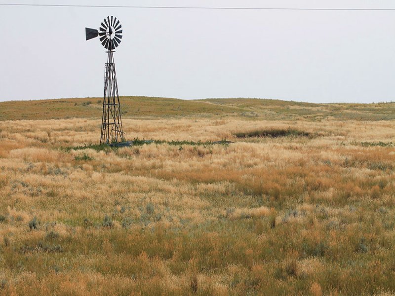 Bass Pasture : Glendo : Platte County : Wyoming