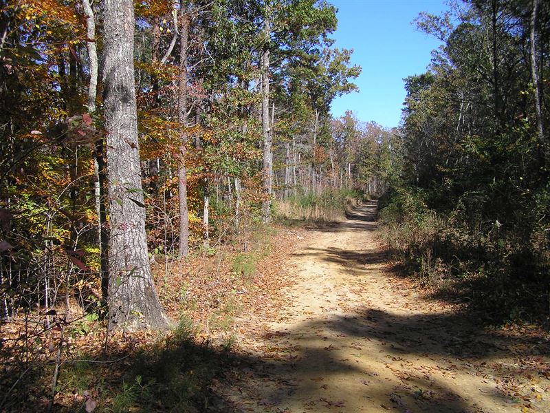 3 Acres, Woods, No Restrictions : Altamont : Grundy County : Tennessee