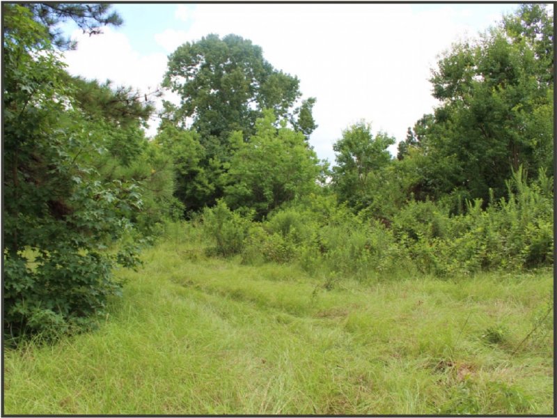 47 Acres in Amite County : Liberty : Amite County : Mississippi