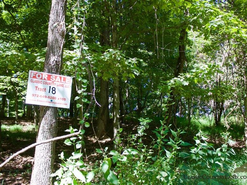 Heritage Hollow Creek 18 : Spencer : Roane County : West Virginia