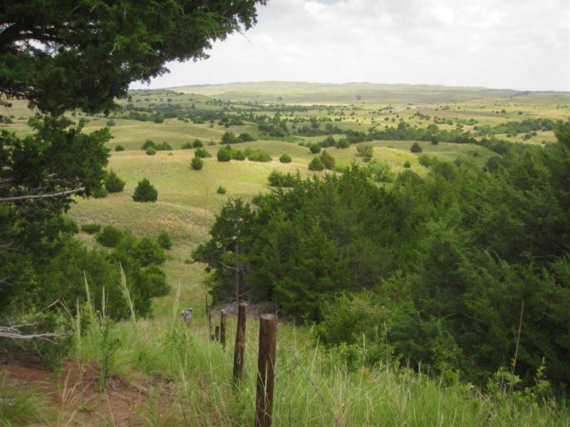 Chokecherry Hill : Valentine : Cherry County : Nebraska
