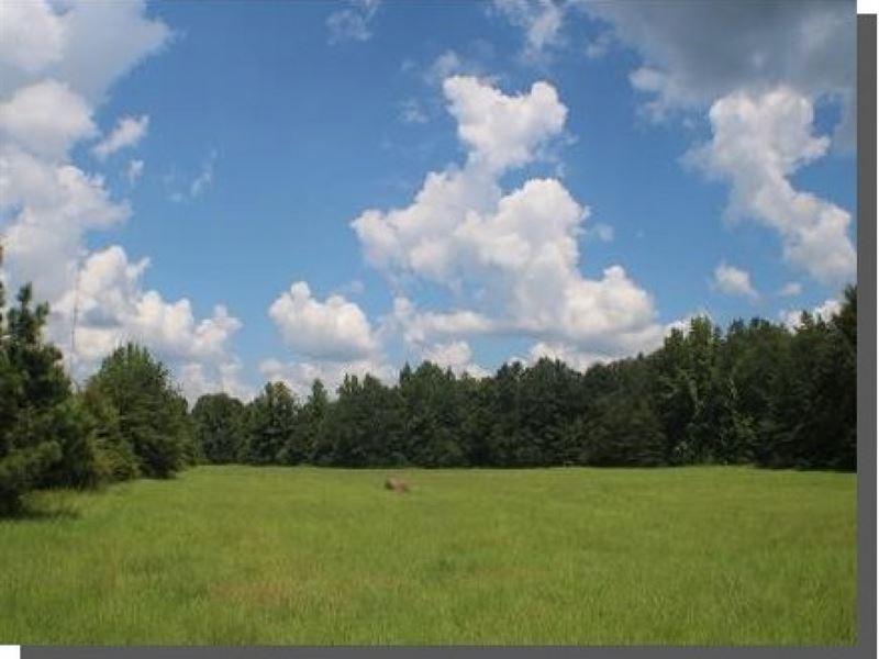 2.84 Acres in Madison County : Canton : Madison County : Mississippi