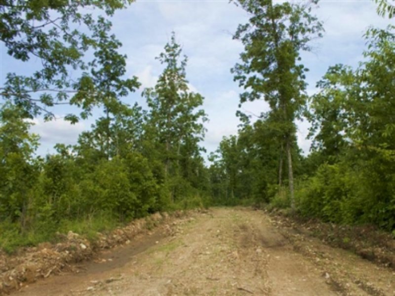 5.3 Acre Thunder Mountain Ranch : Birch Tree : Shannon County : Missouri