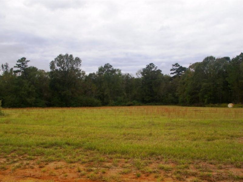 5.33 Acre Home Site, Pike County, : Summit : Pike County : Mississippi