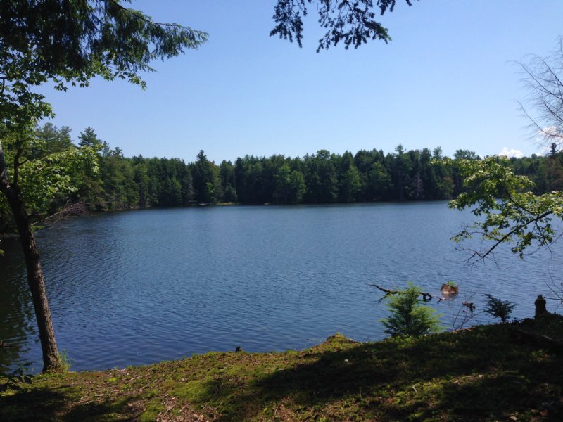 On Francis Pond Land for Sale in Constantia, Oswego County, New York