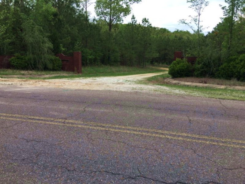 67 Acres with Lots Of Road Frontage : Huntingdon : Carroll County : Tennessee