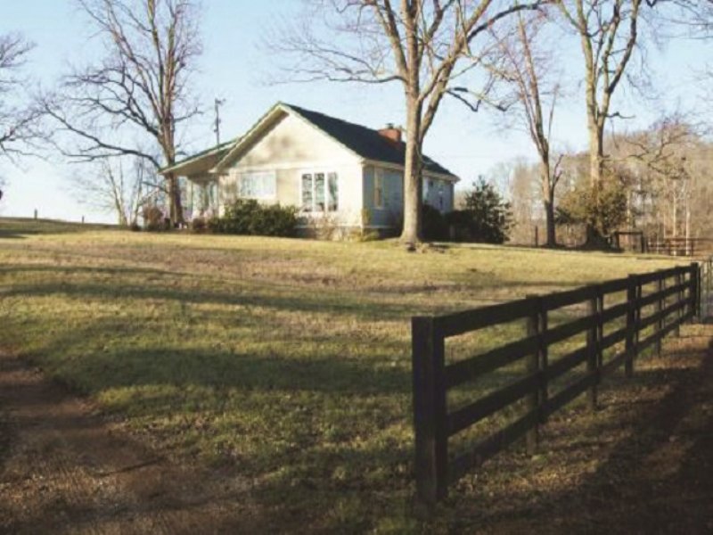 Kentucky Cattle and Crop Farm : Bowling Green : Warren County : Kentucky