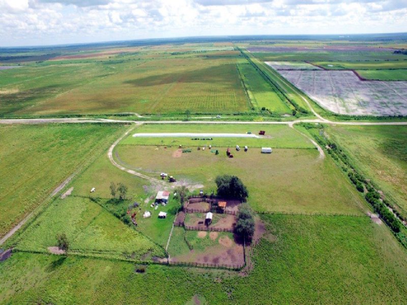 Optimum Farm : Arcadia : DeSoto County : Florida