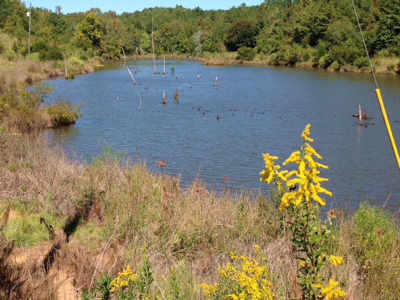 Ocmulgee Farm : Selma : Perry County : Alabama