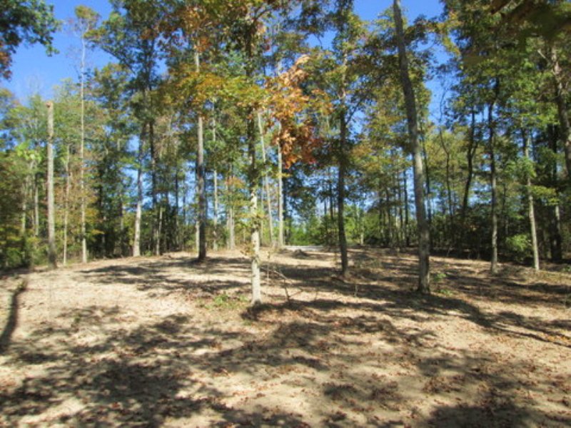 10.8 Wooded Acres : Columbia : Adair County : Kentucky