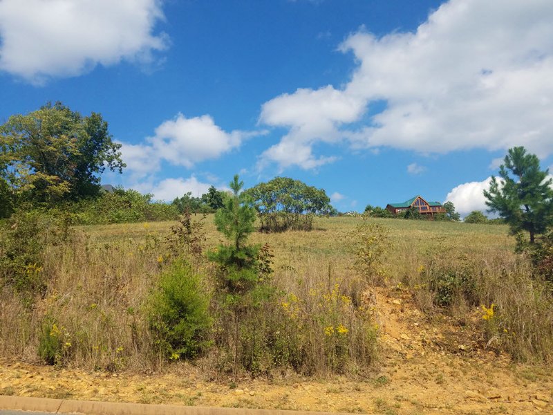 0.57 Building Lot in Shiloh Springs : Rutledge : Grainger County : Tennessee