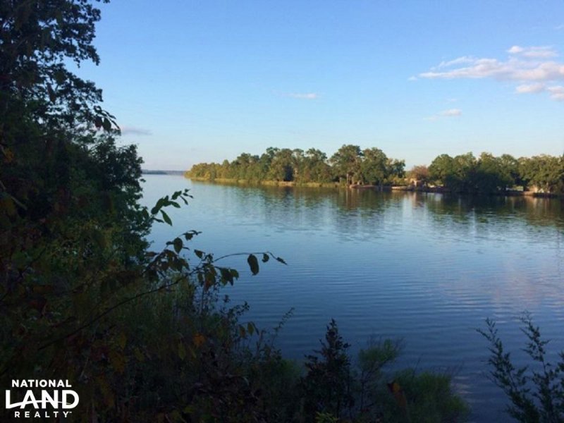 River View Landing Lots On Lake Dan : Camden : Wilcox County : Alabama