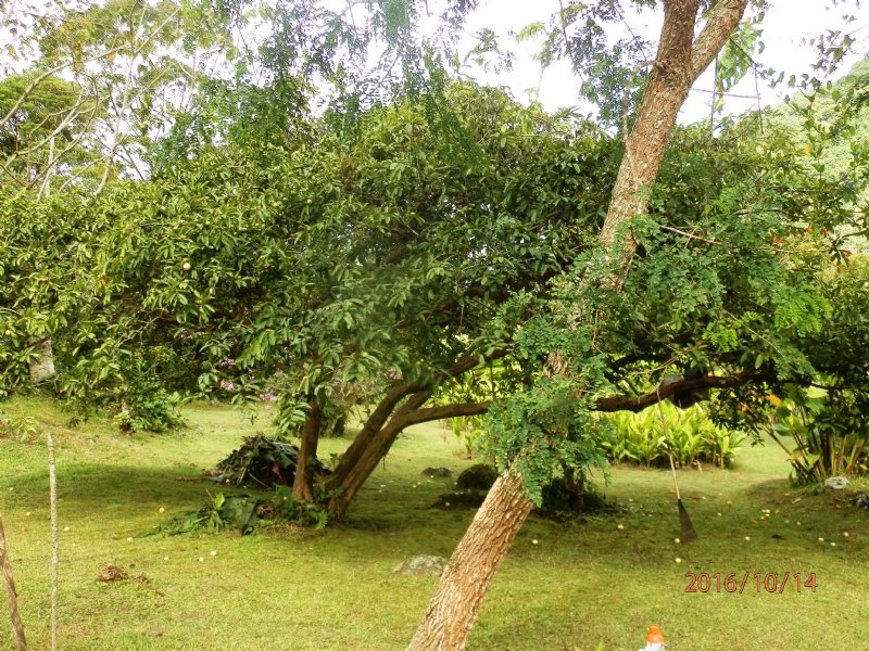 2 River Front Garden Lots- 5000 M2 : Cachi : Costa Rica