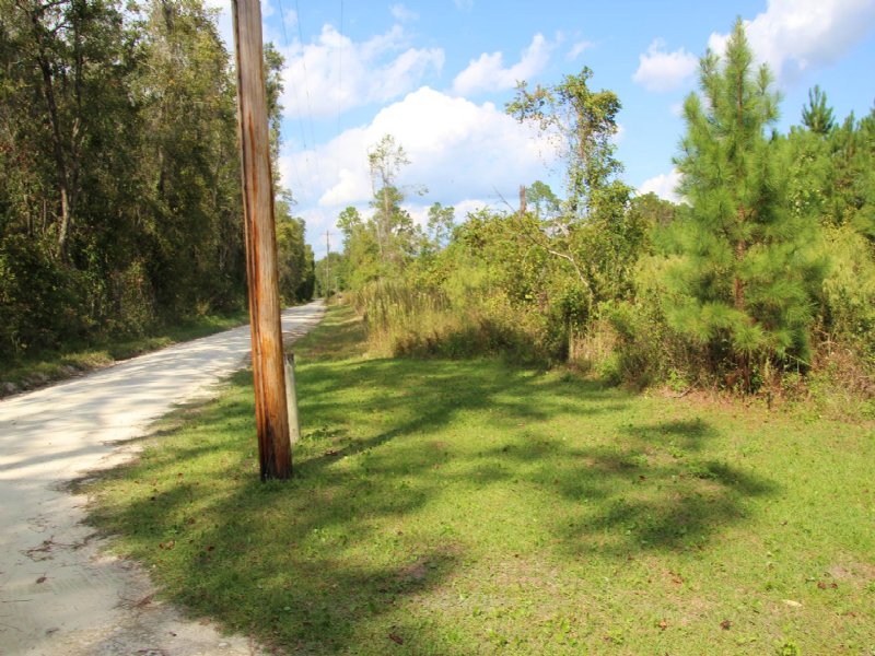 21.02 Acres in Earleton : Earleton : Alachua County : Florida